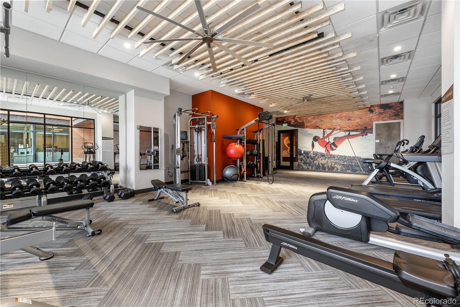 MLS Image #9 for 20  wilcox street 209,castle rock, Colorado