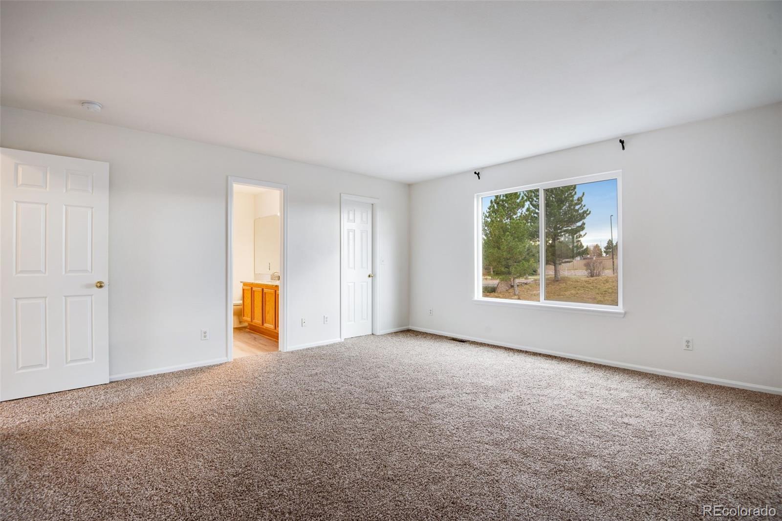 MLS Image #21 for 1255  parsons avenue,castle rock, Colorado