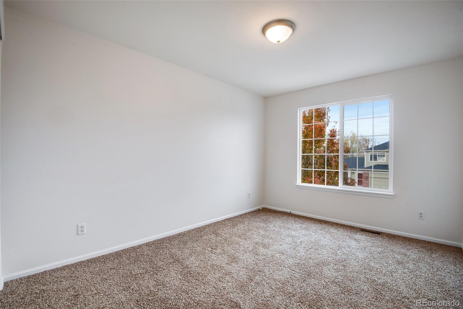 MLS Image #25 for 1255  parsons avenue,castle rock, Colorado