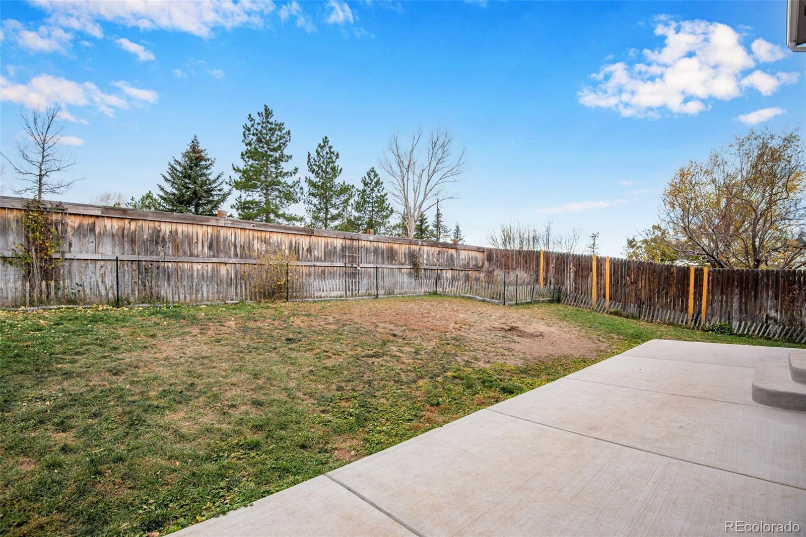 MLS Image #7 for 1255  parsons avenue,castle rock, Colorado