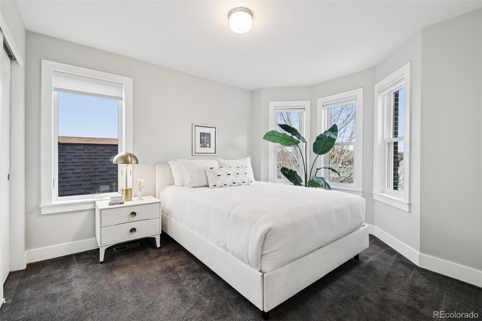 MLS Image #20 for 2825  stout street,denver, Colorado
