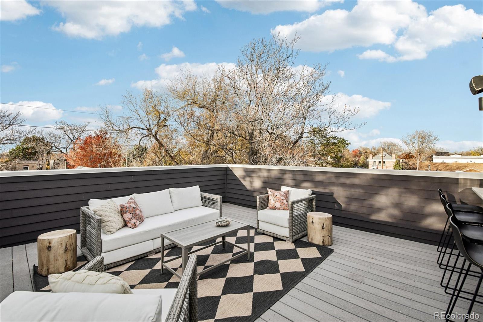 MLS Image #29 for 2825  stout street,denver, Colorado