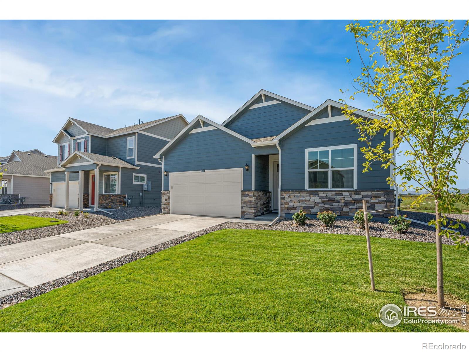 MLS Image #1 for 944  london way,severance, Colorado
