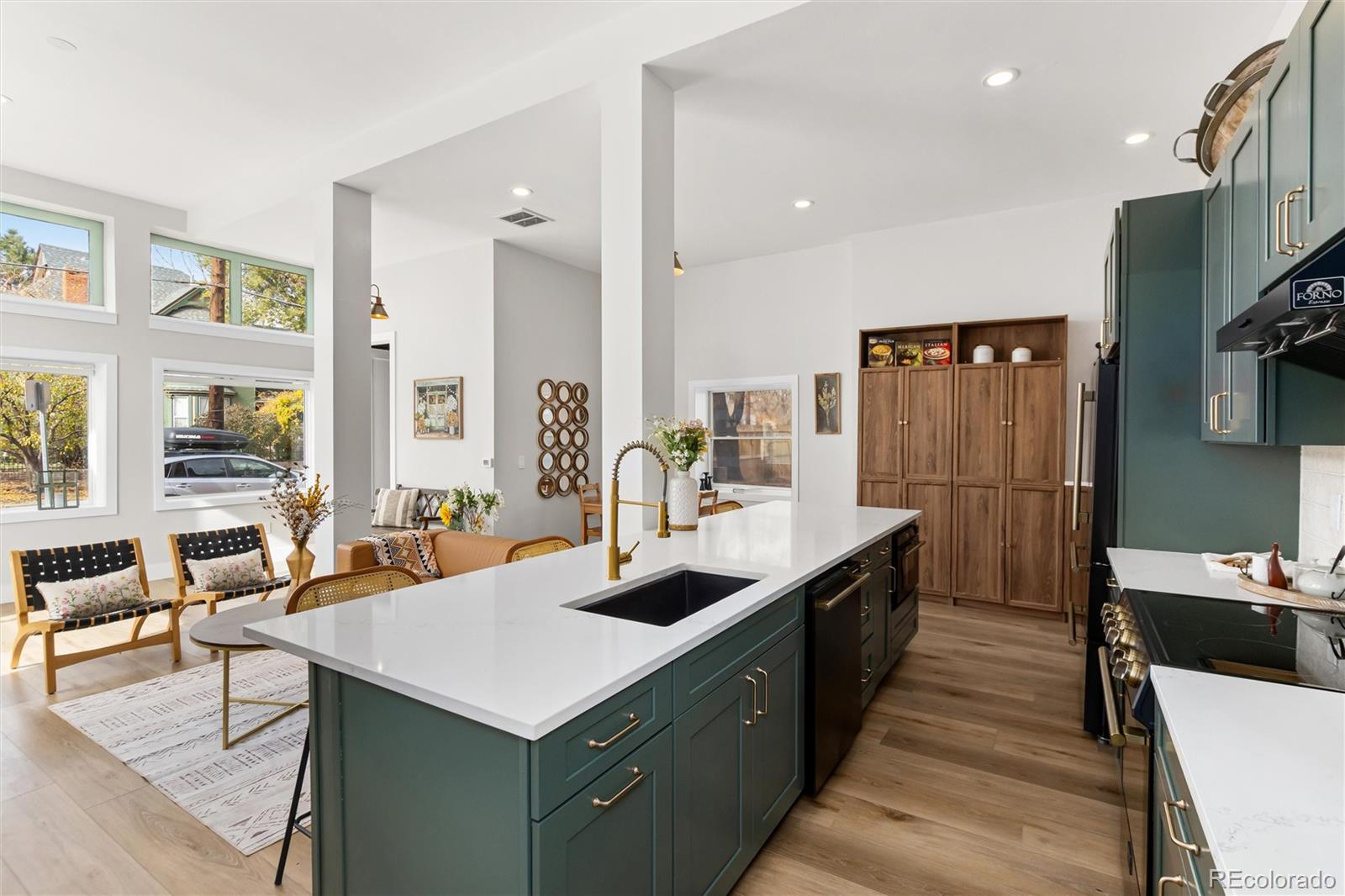 MLS Image #7 for 95 w byers place,denver, Colorado