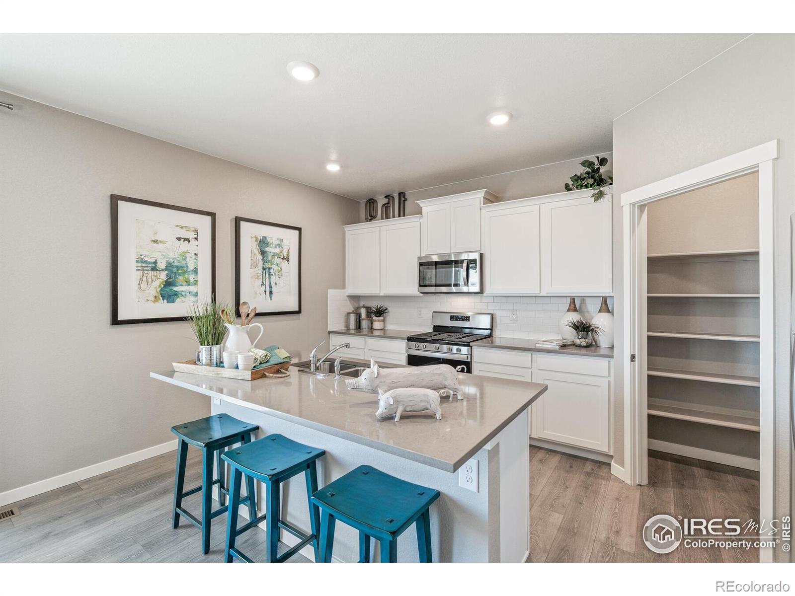MLS Image #11 for 4660  thistle drive,brighton, Colorado