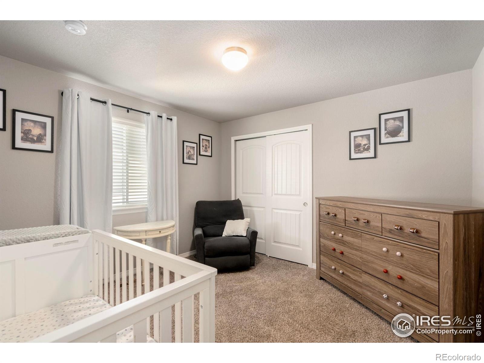 MLS Image #20 for 1881  castle hill drive,windsor, Colorado