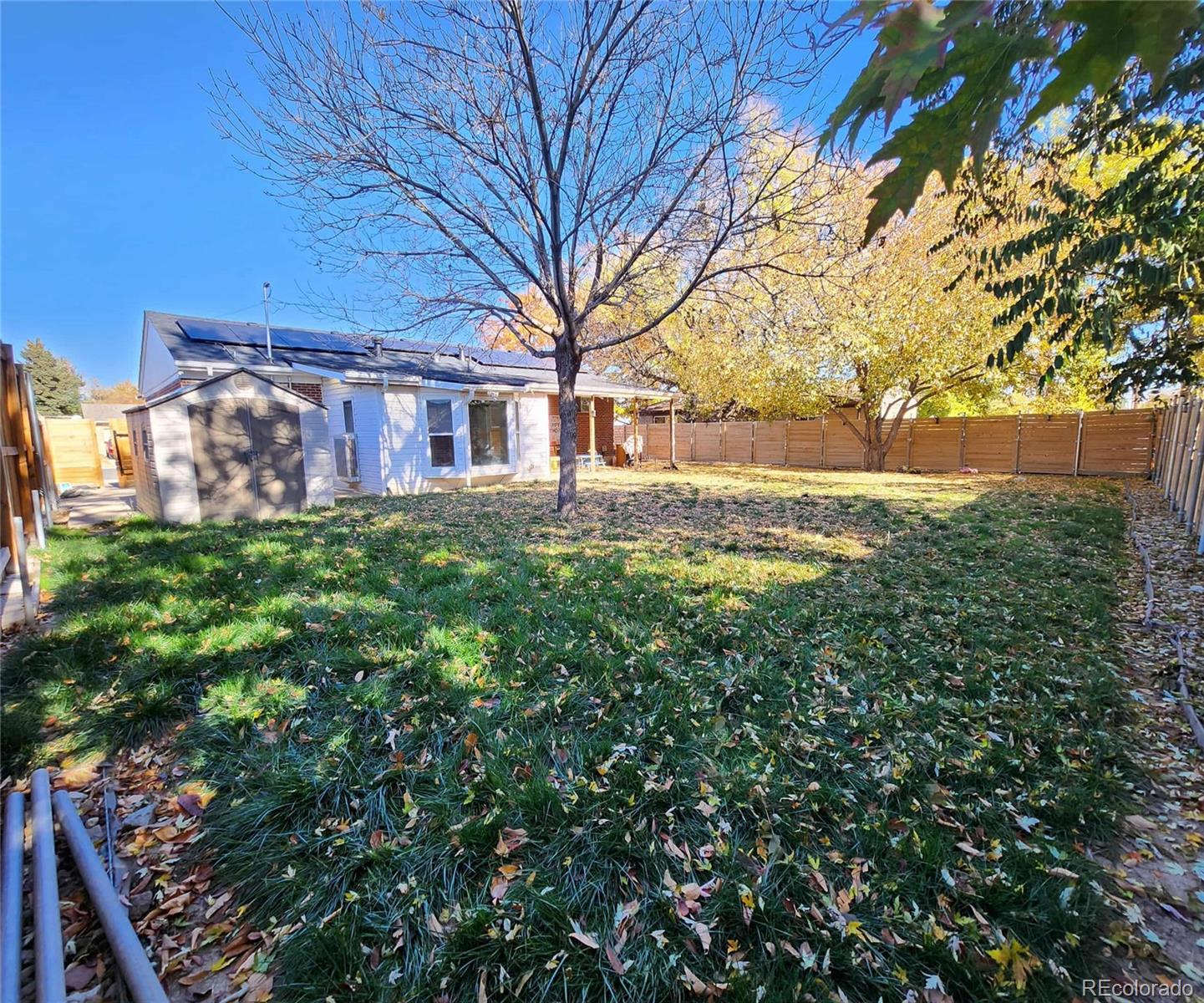 MLS Image #18 for 242  pike street,northglenn, Colorado