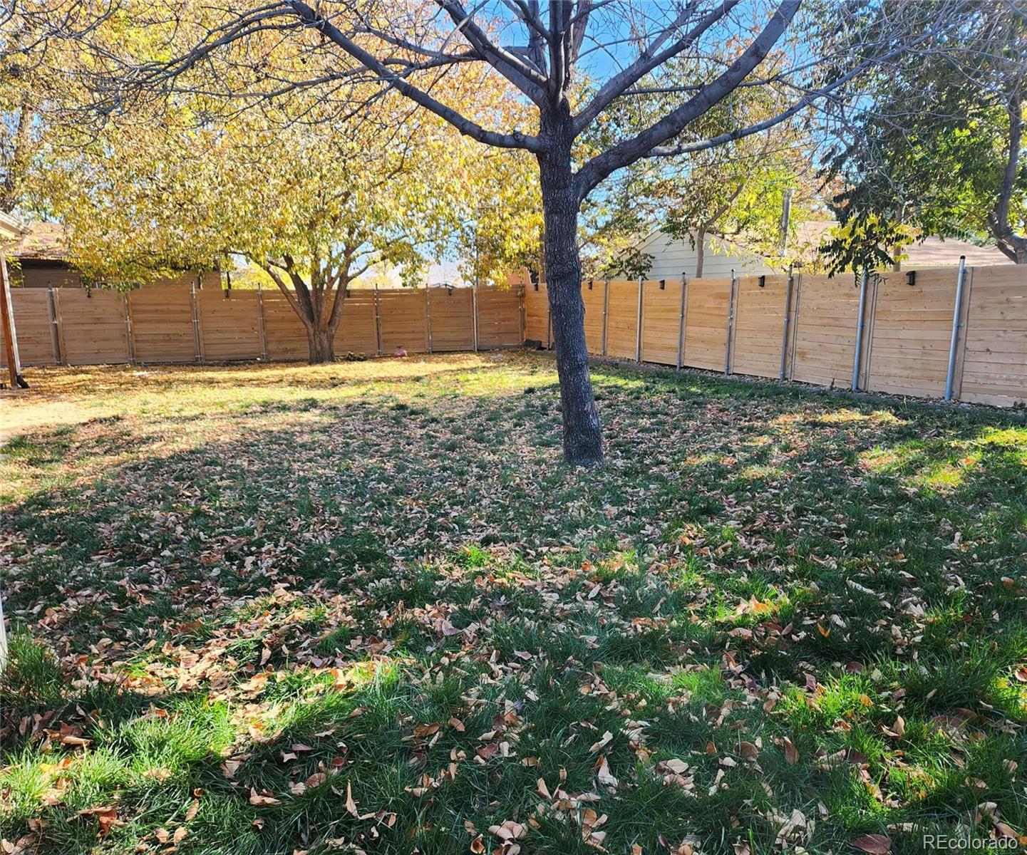 MLS Image #20 for 242  pike street,northglenn, Colorado