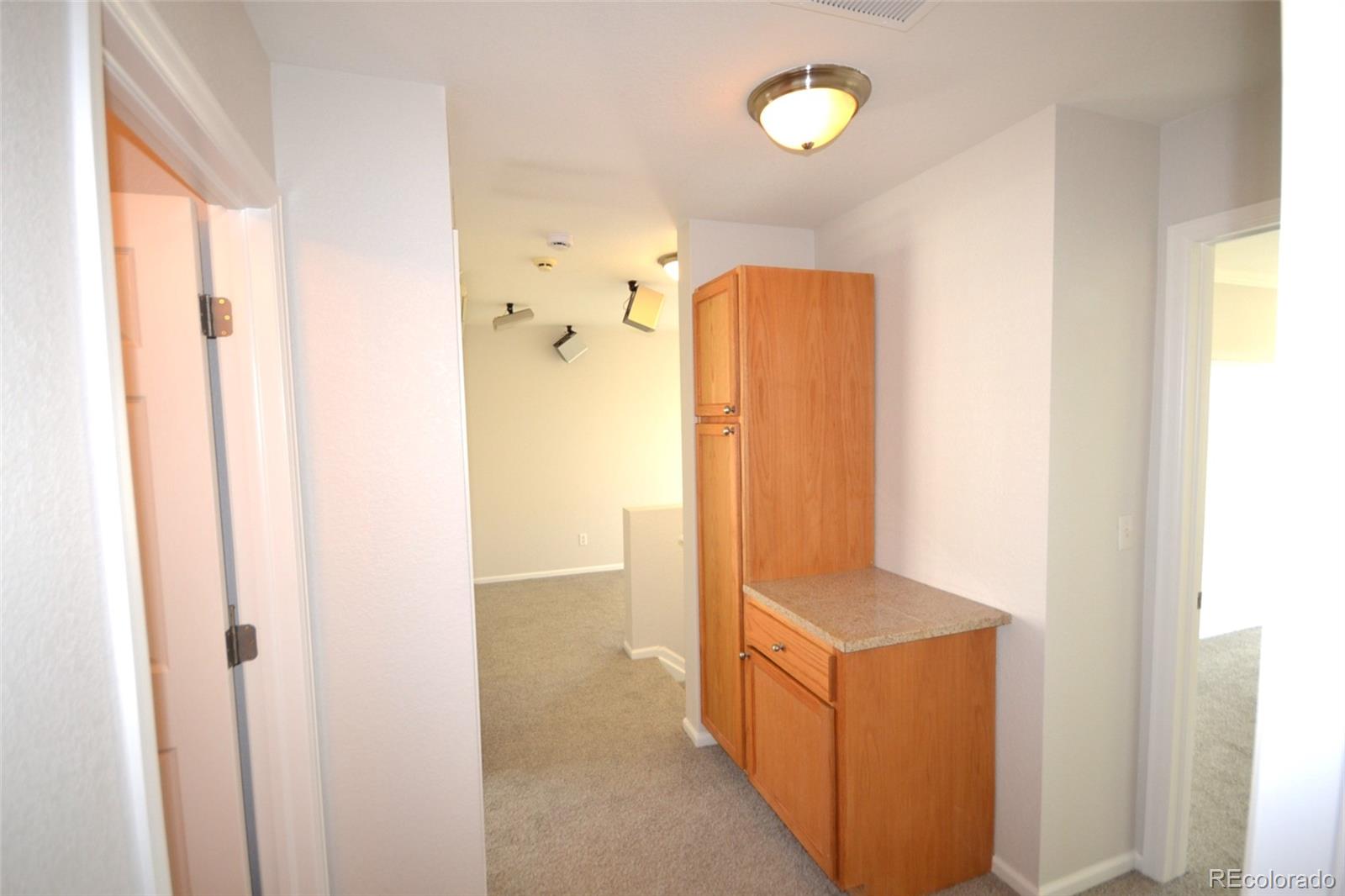 MLS Image #16 for 19683 e 55th place,denver, Colorado