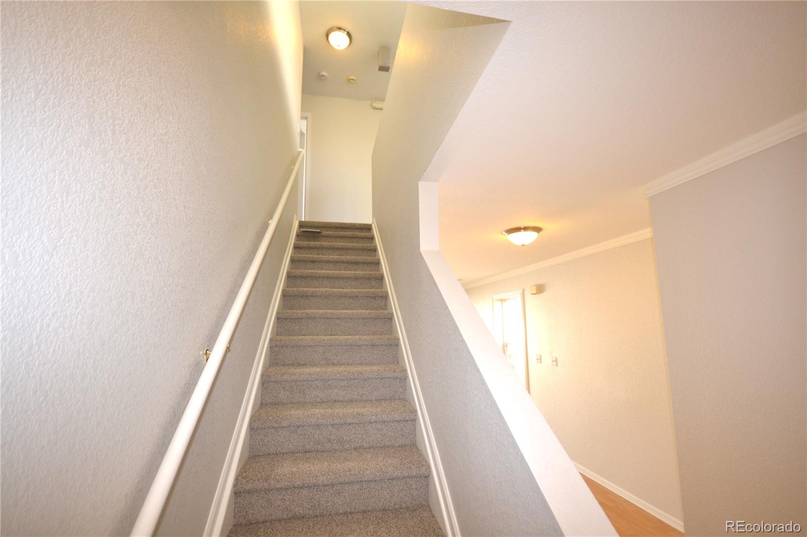 MLS Image #9 for 19683 e 55th place,denver, Colorado