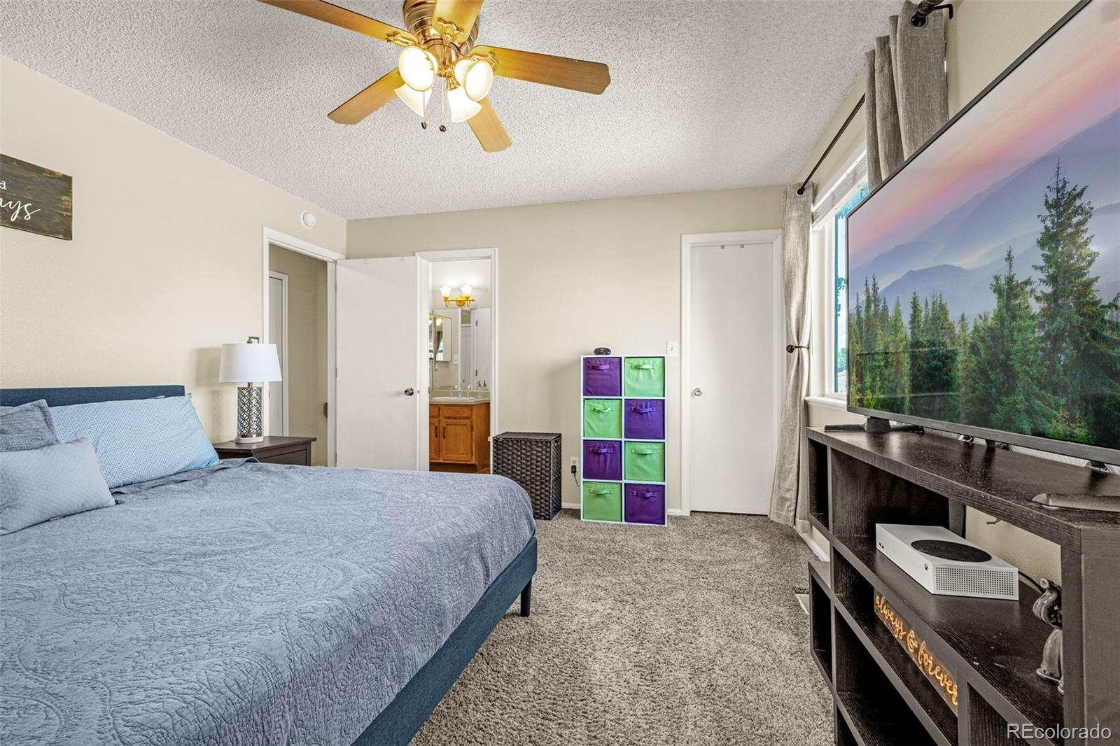 MLS Image #20 for 1625  piros drive,colorado springs, Colorado