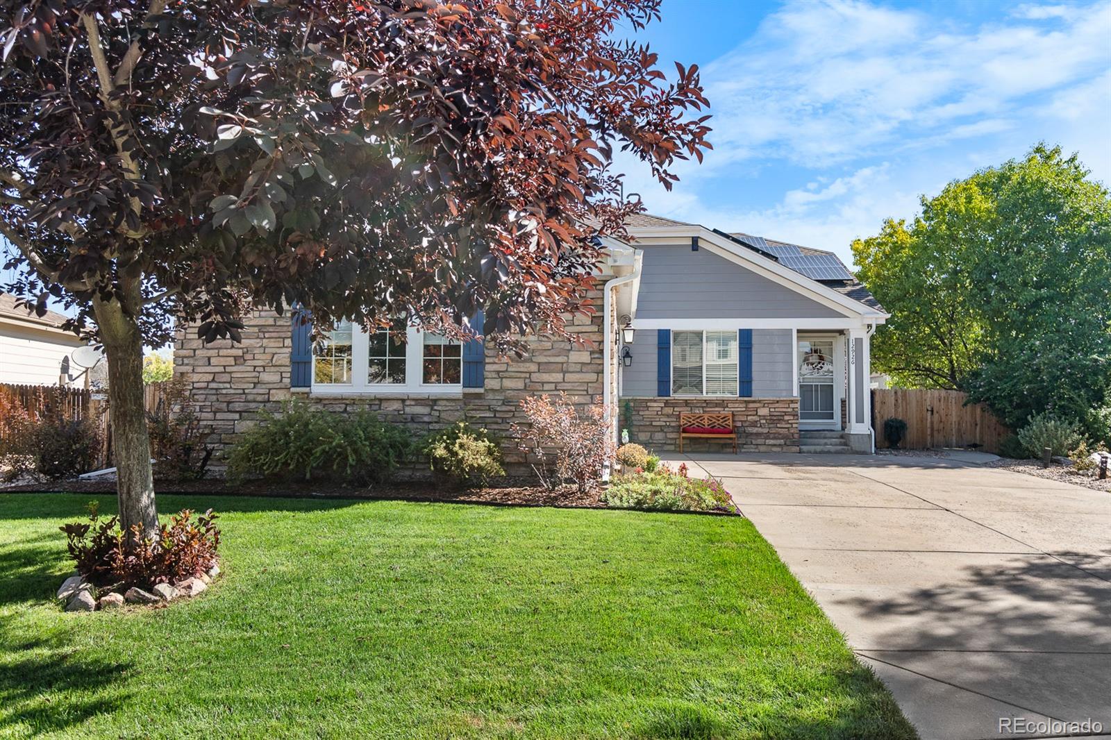 MLS Image #2 for 12926  jasmine court,thornton, Colorado