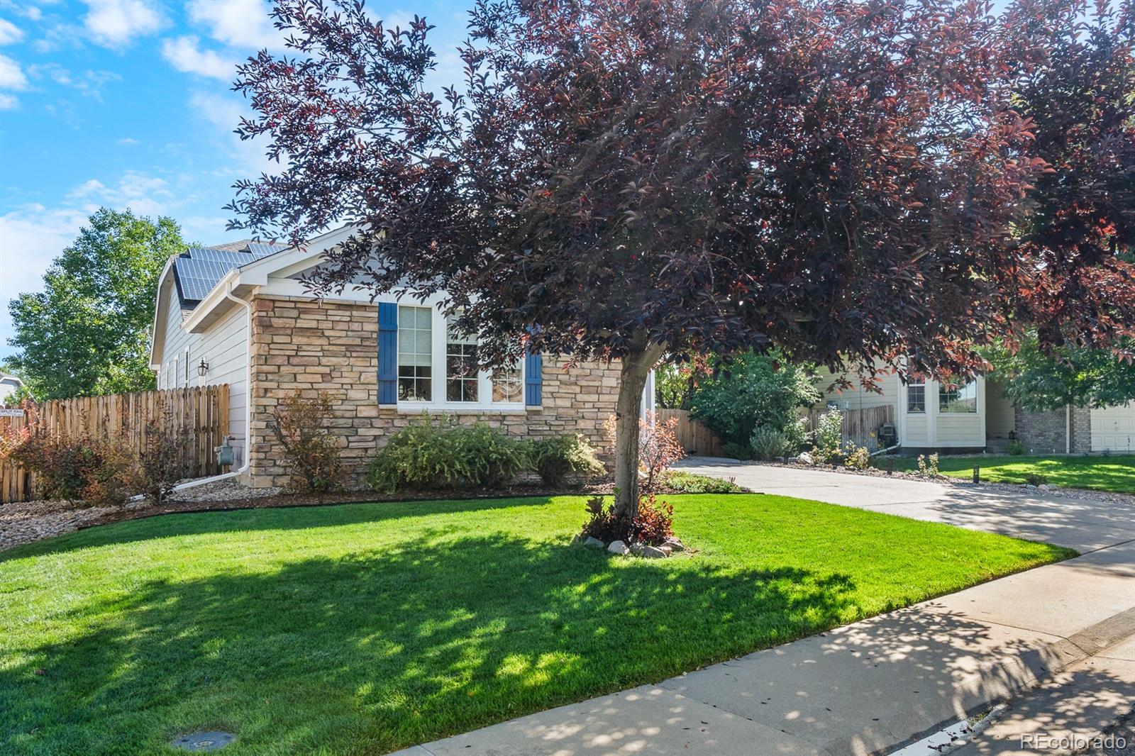 MLS Image #3 for 12926  jasmine court,thornton, Colorado