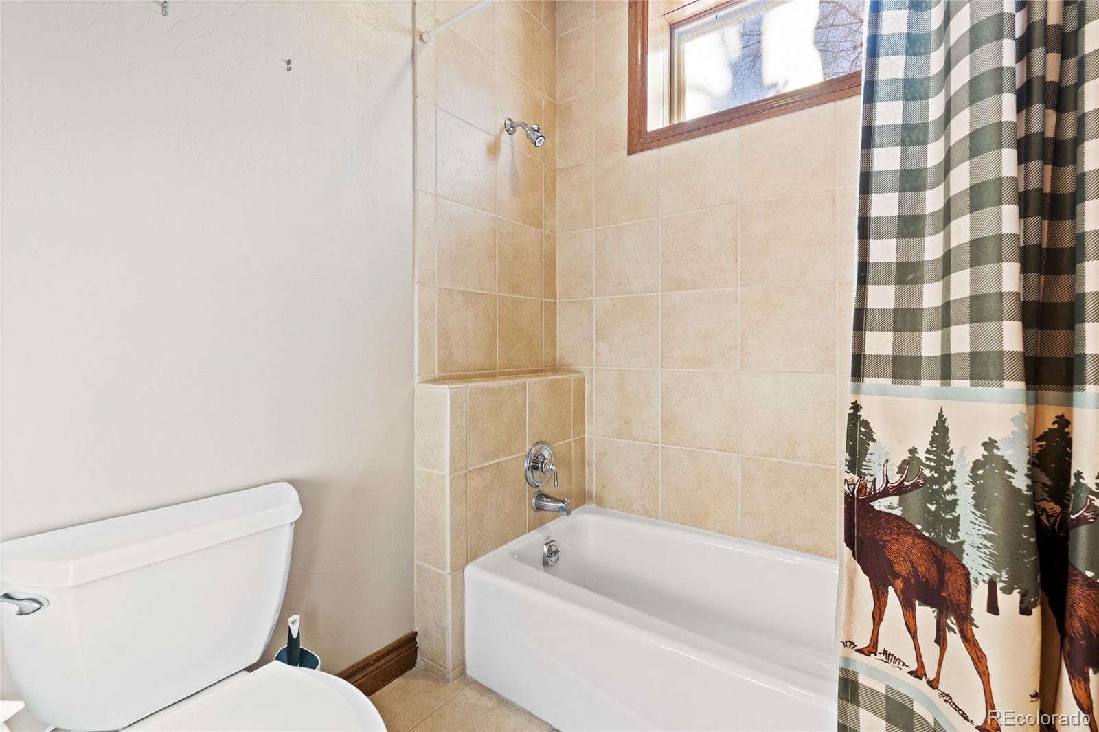 MLS Image #33 for 270  black bear drive,gypsum, Colorado