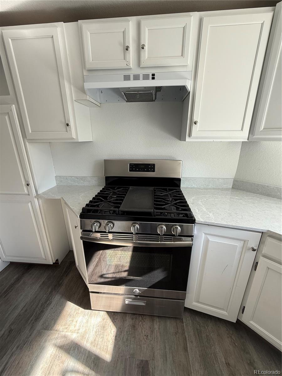 MLS Image #28 for 1421  macpool street,dacono, Colorado