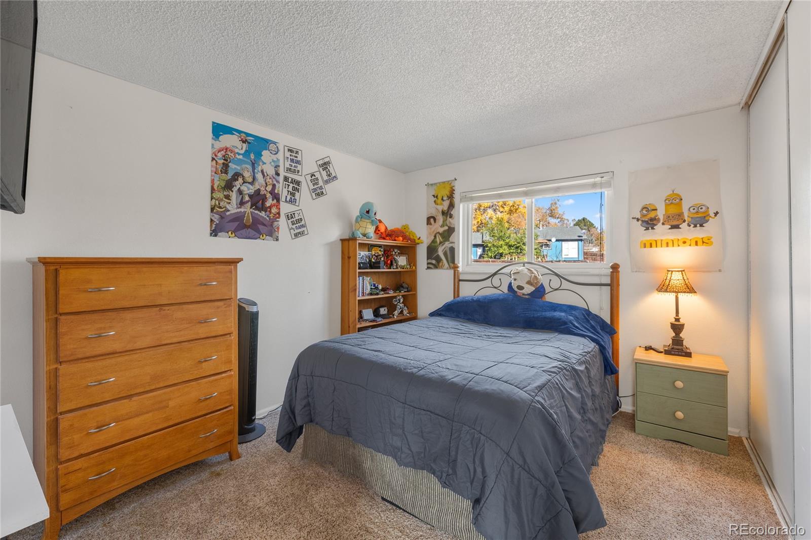 MLS Image #16 for 2645 e 98th way,thornton, Colorado