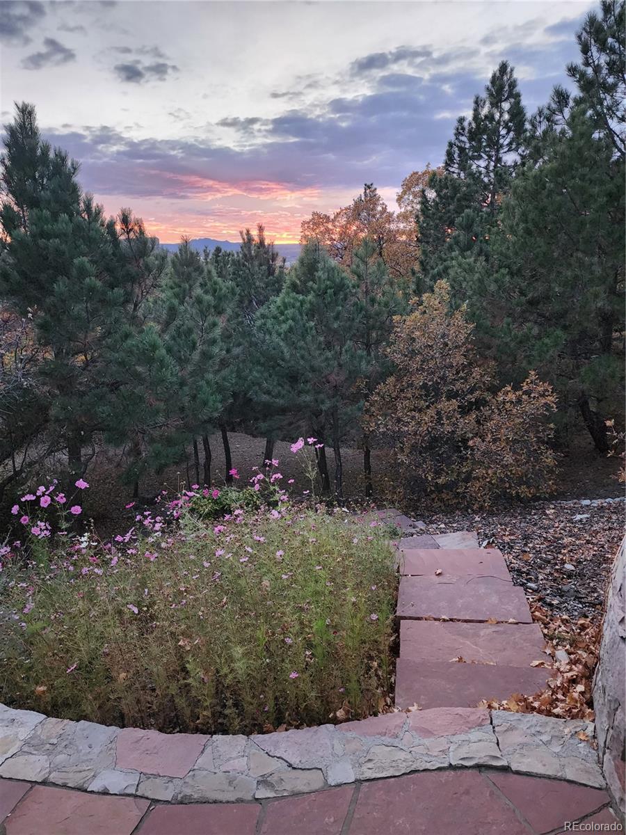 MLS Image #49 for 1918  foxfield drive,castle rock, Colorado