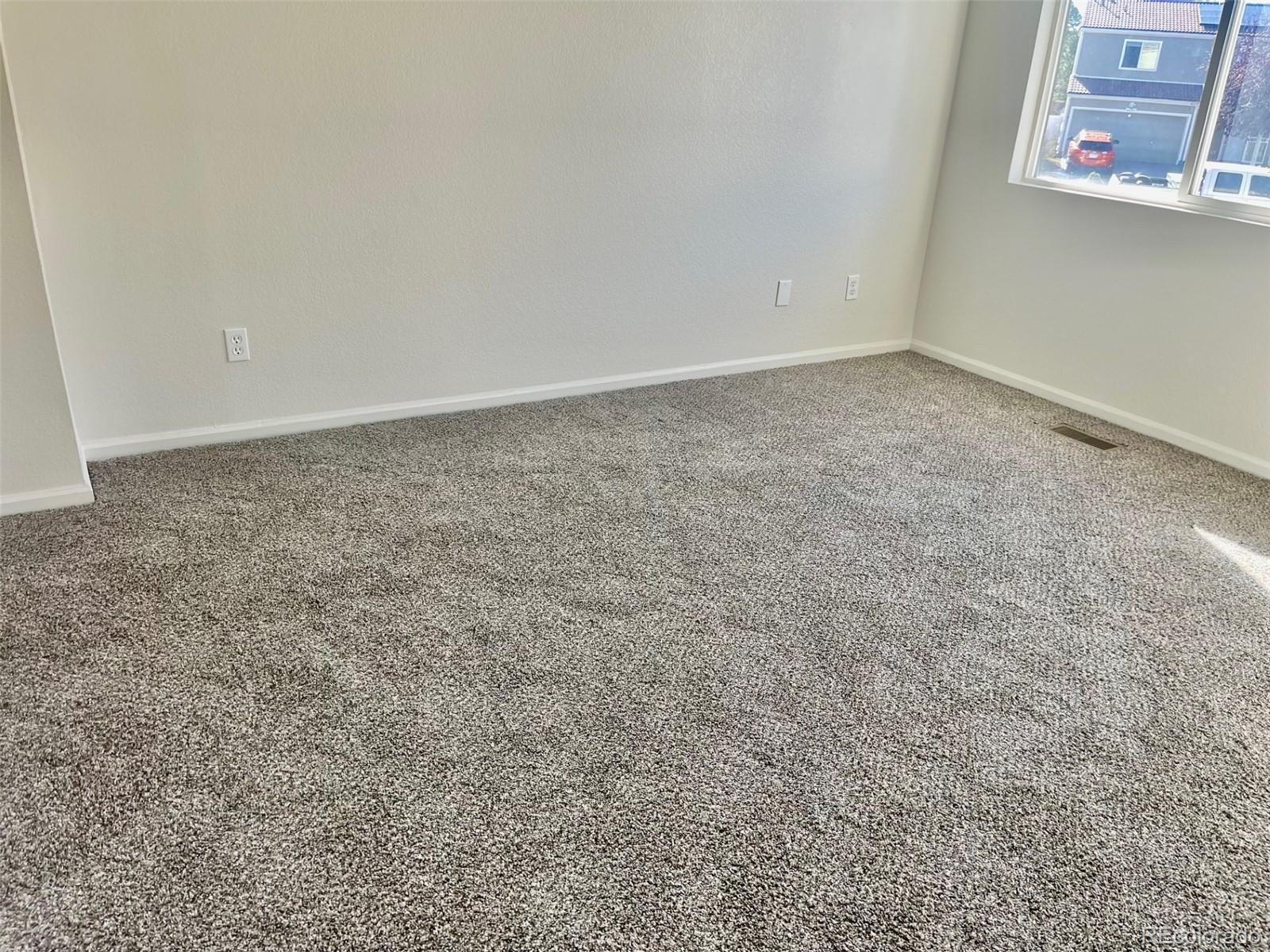 MLS Image #10 for 4215  andes court,denver, Colorado