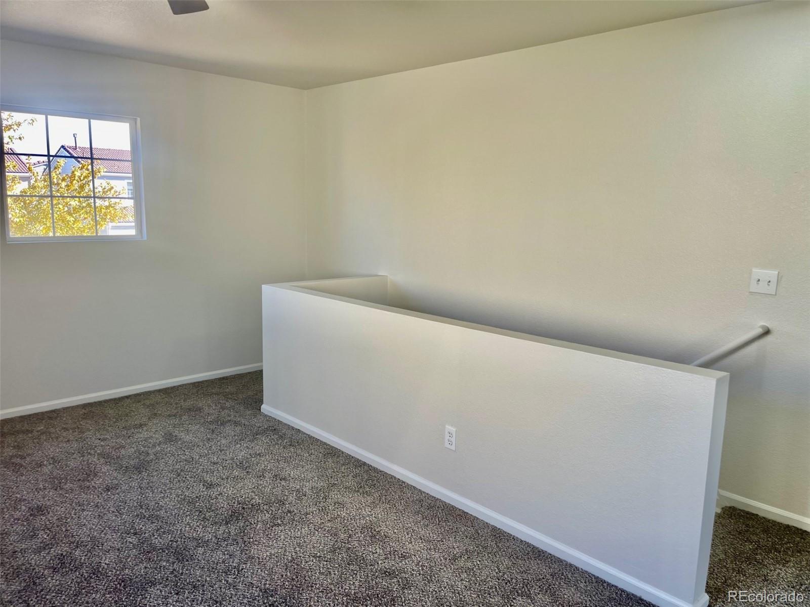 MLS Image #13 for 4215  andes court,denver, Colorado