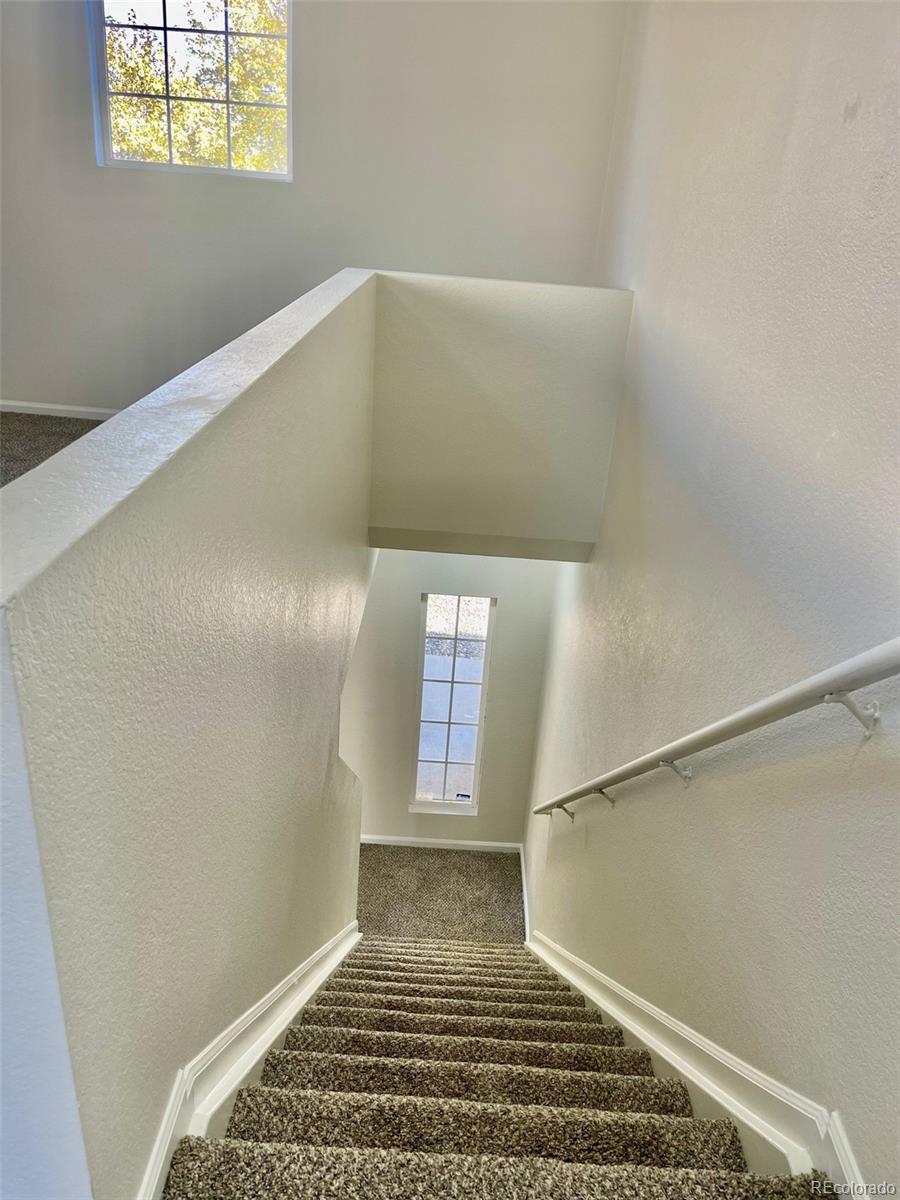 MLS Image #16 for 4215  andes court,denver, Colorado