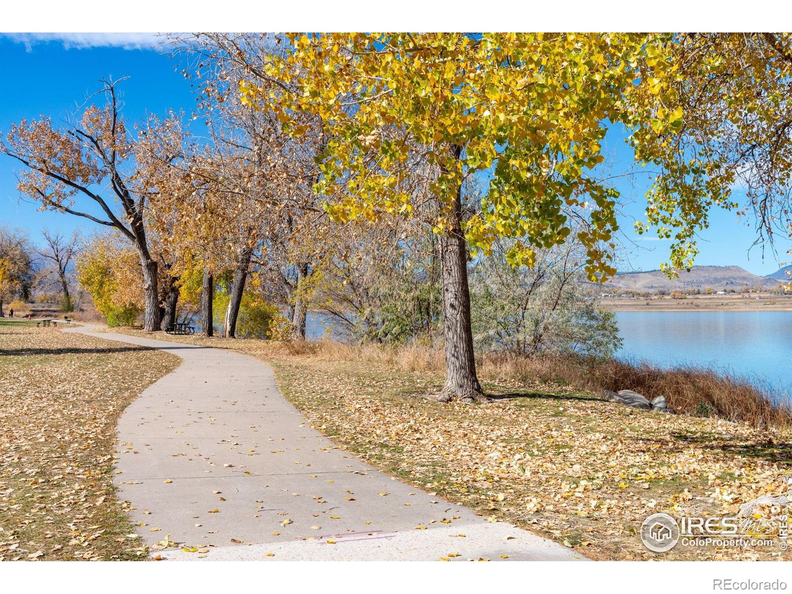 MLS Image #45 for 3308  lakeview circle,longmont, Colorado