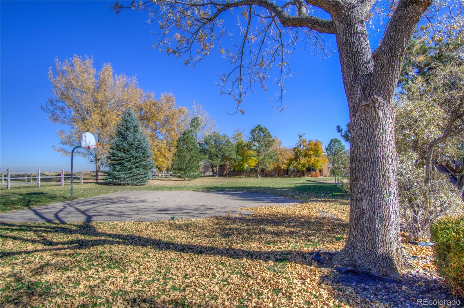 MLS Image #40 for 11781  elk head range road ,littleton, Colorado