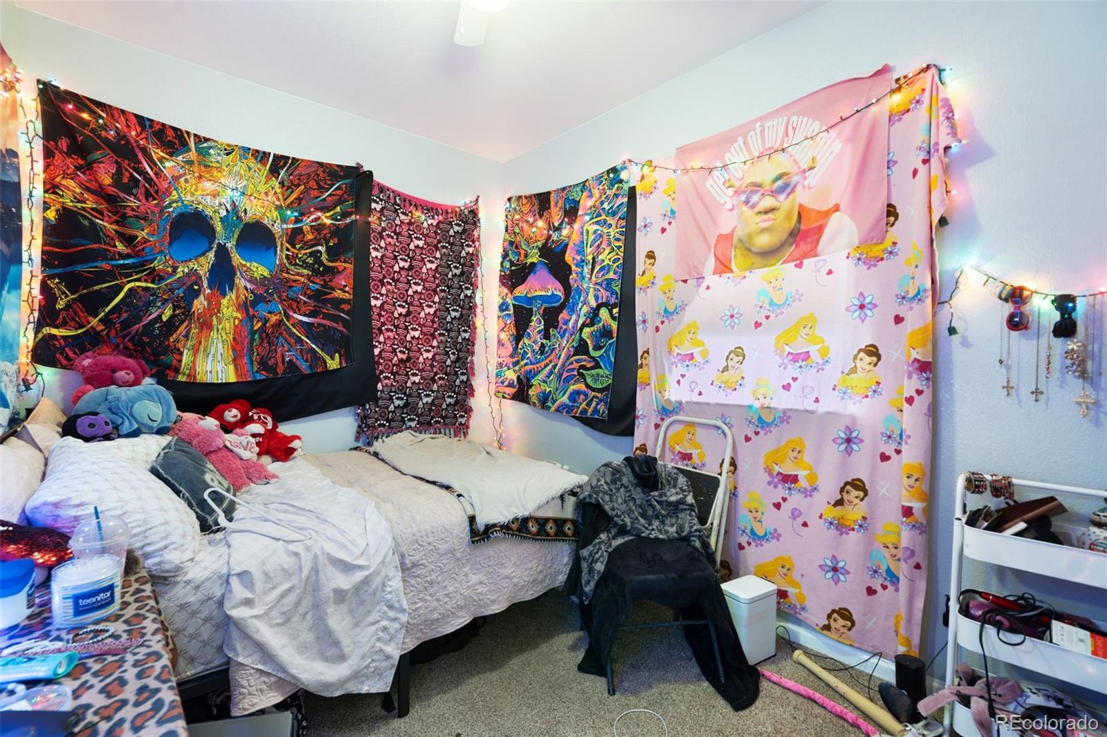 MLS Image #19 for 12068  krameria court ,brighton, Colorado