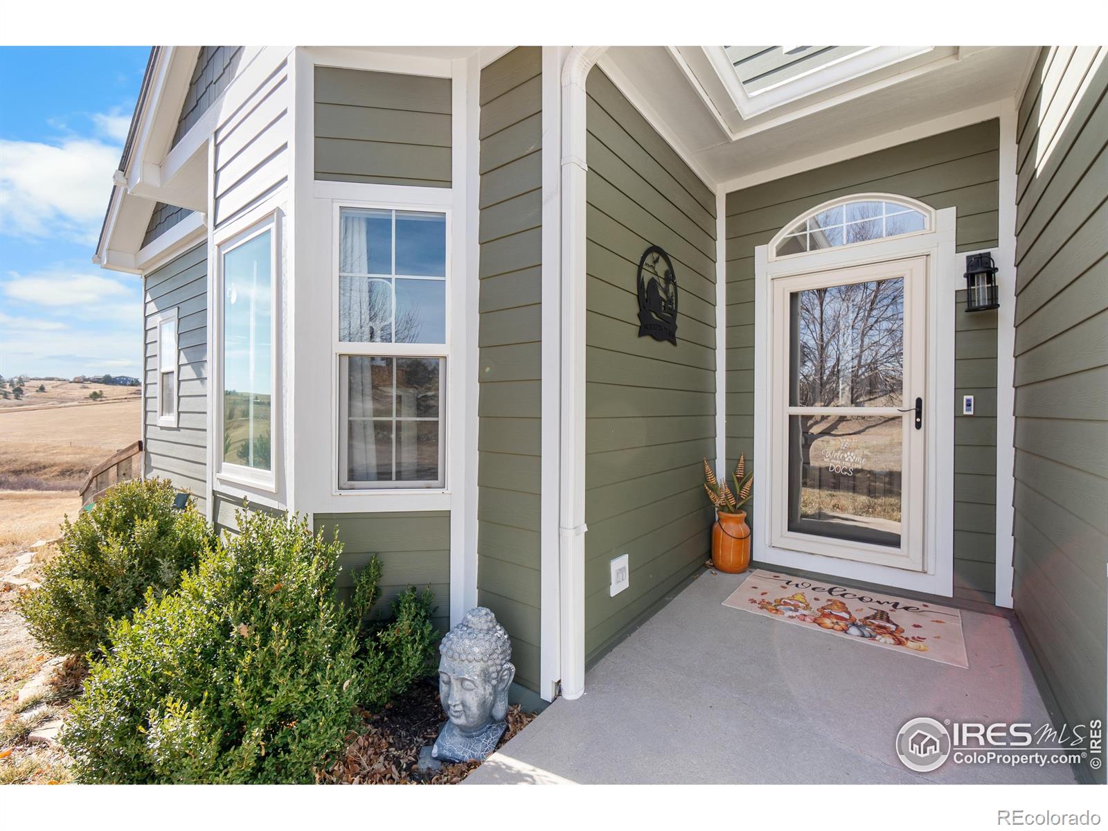 MLS Image #10 for 3842  banner court,parker, Colorado