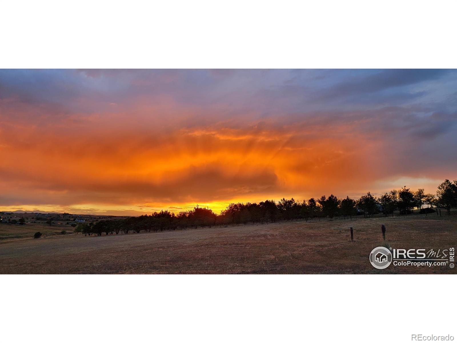 MLS Image #6 for 3842  banner court,parker, Colorado