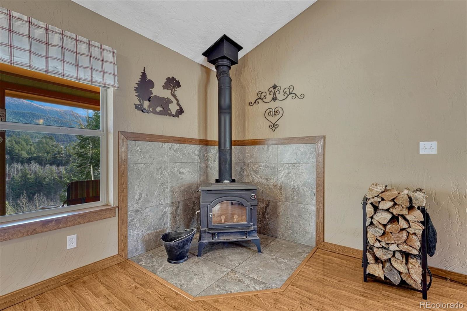 MLS Image #12 for 1131  pikes peak drive,divide, Colorado