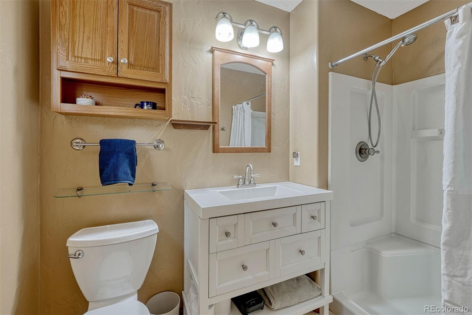 MLS Image #19 for 1131  pikes peak drive,divide, Colorado