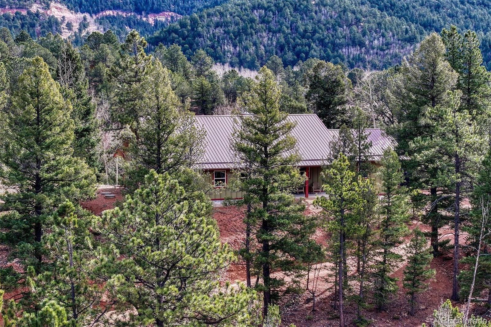 MLS Image #25 for 1131  pikes peak drive,divide, Colorado