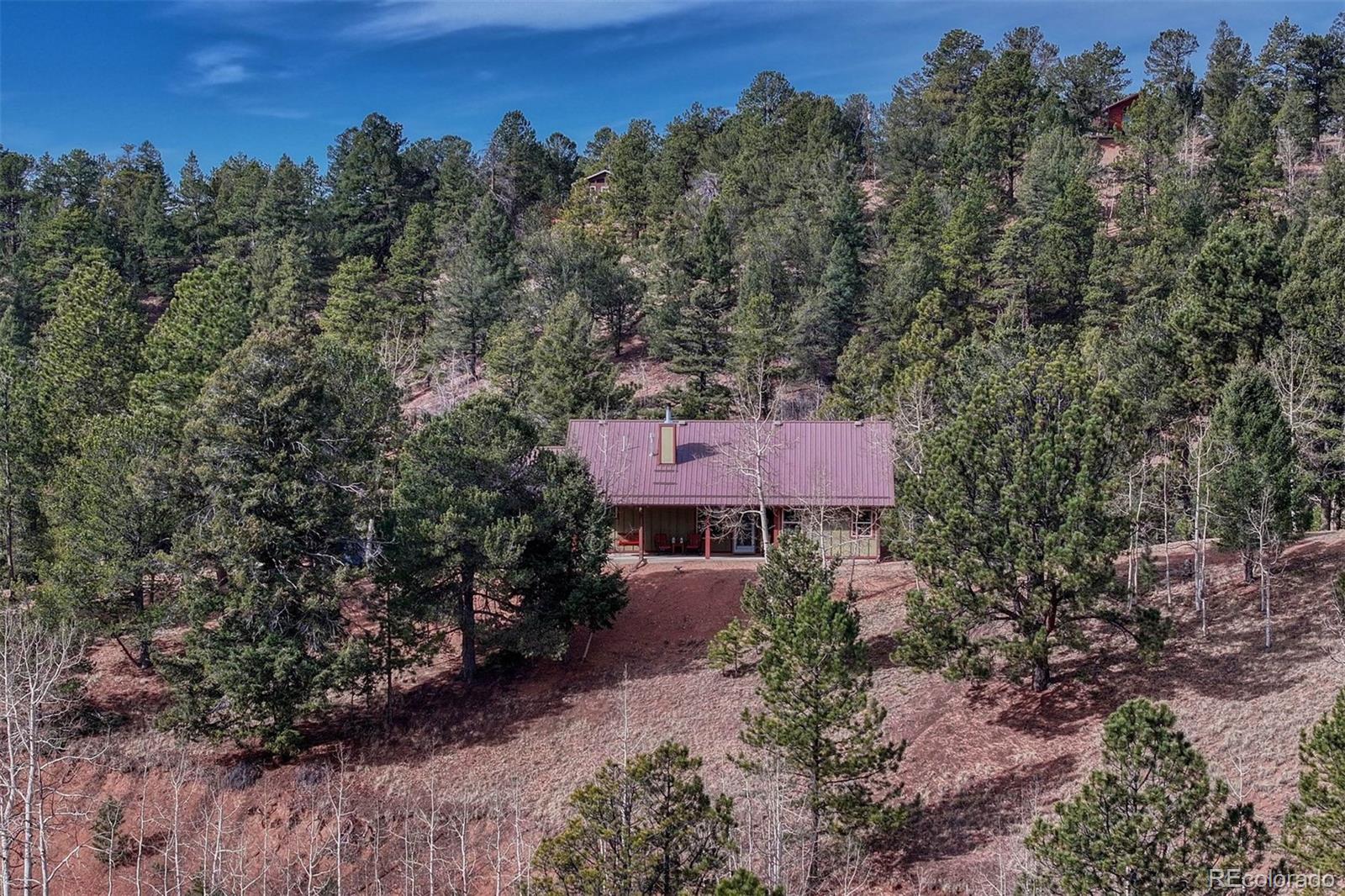 MLS Image #26 for 1131  pikes peak drive,divide, Colorado