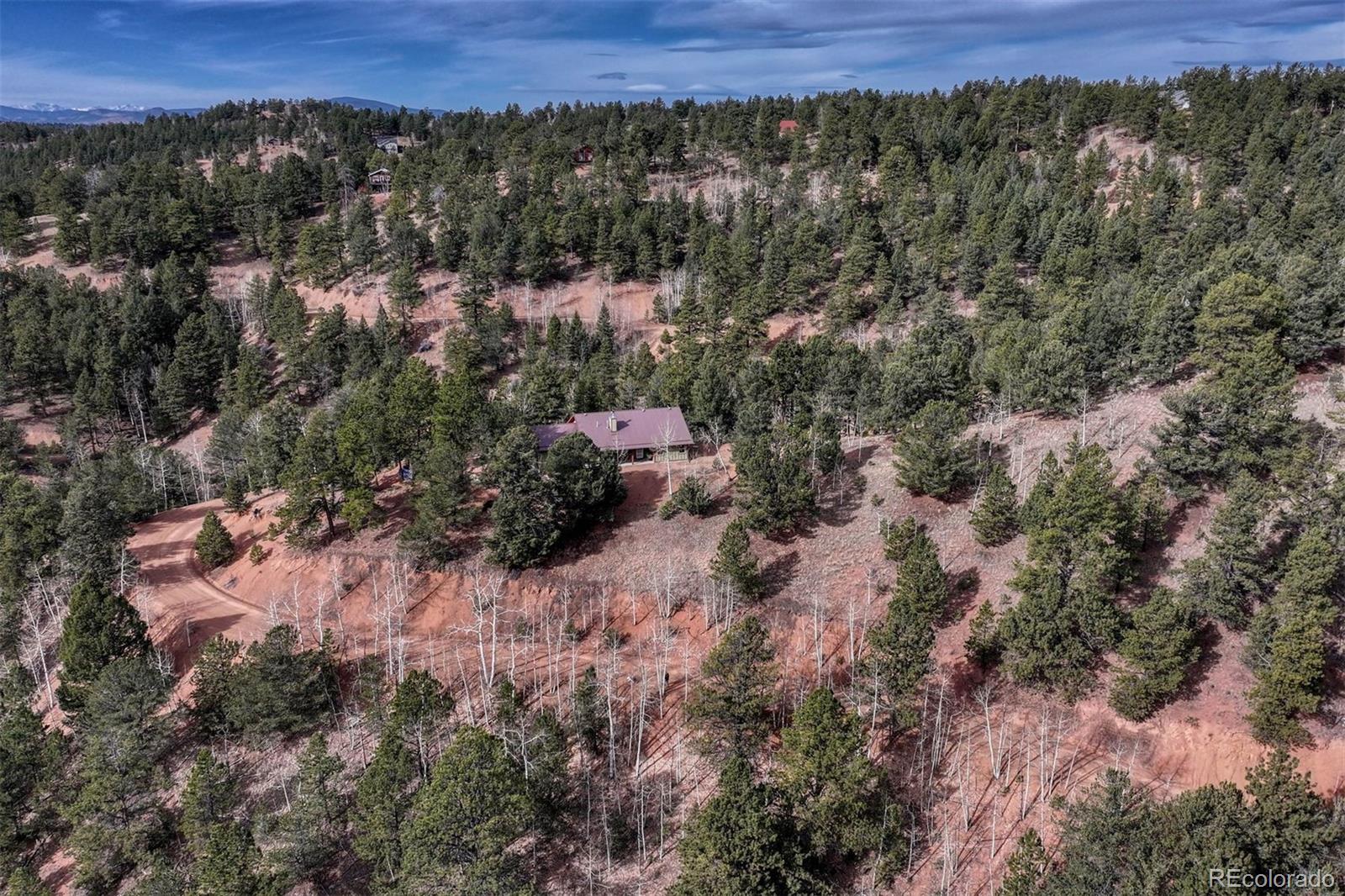 MLS Image #27 for 1131  pikes peak drive,divide, Colorado