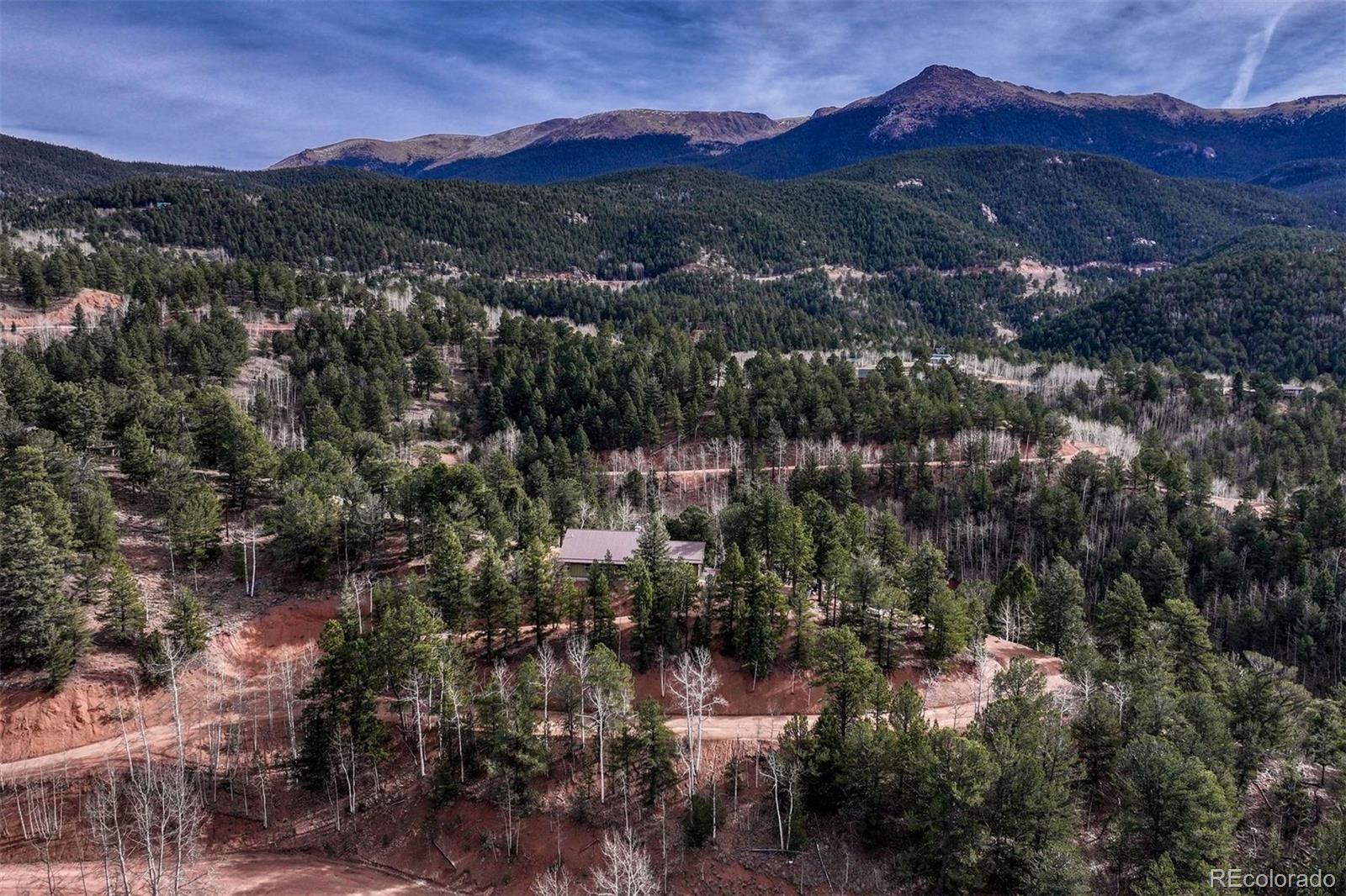 MLS Image #5 for 1131  pikes peak drive,divide, Colorado