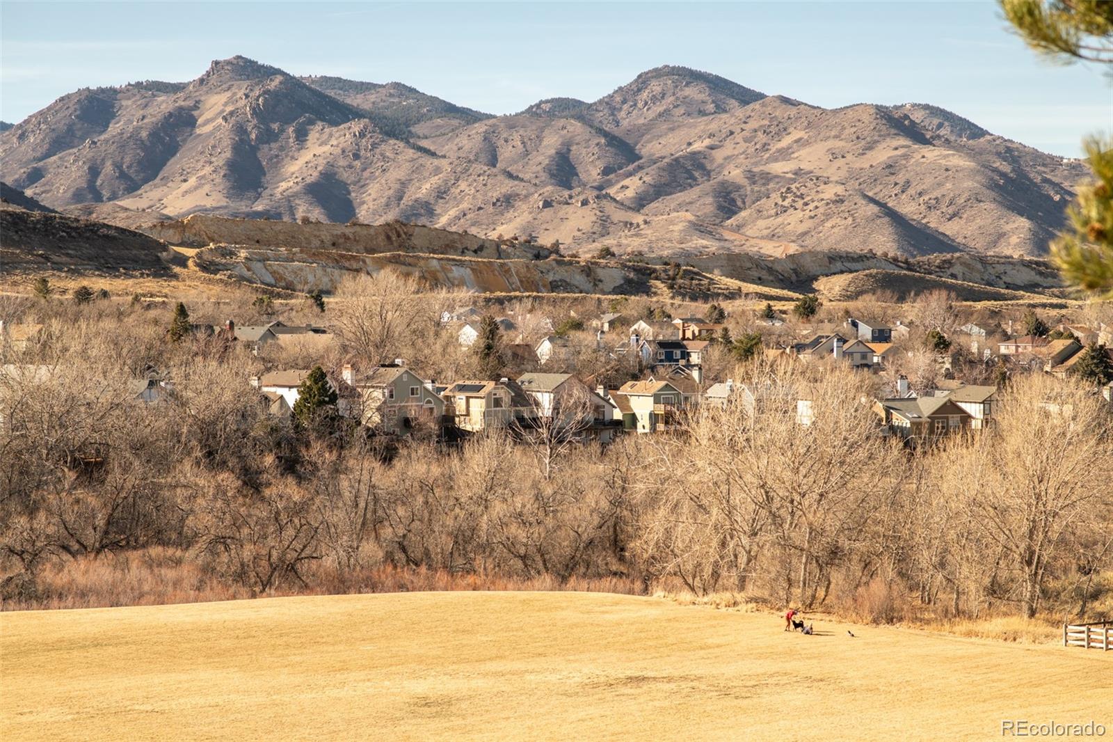 MLS Image #49 for 8275  hunts peak street,littleton, Colorado