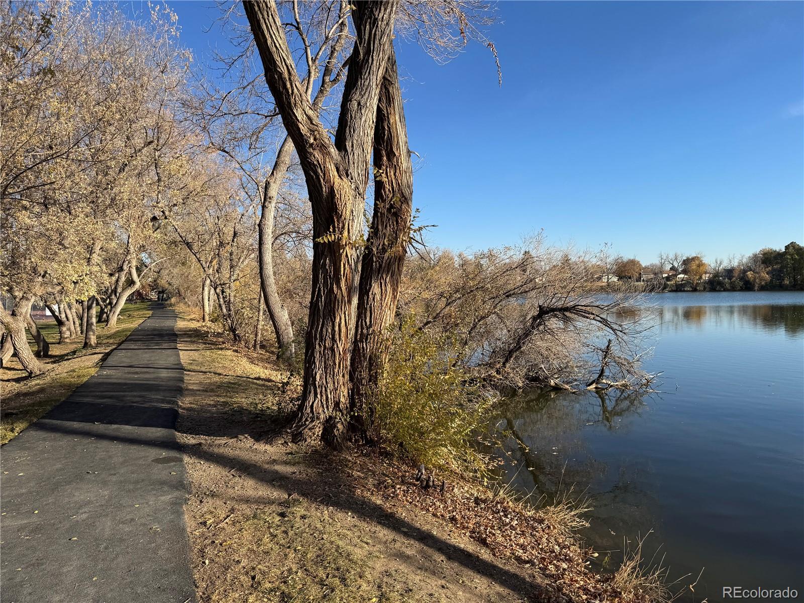 MLS Image #28 for 8672  iris street,arvada, Colorado