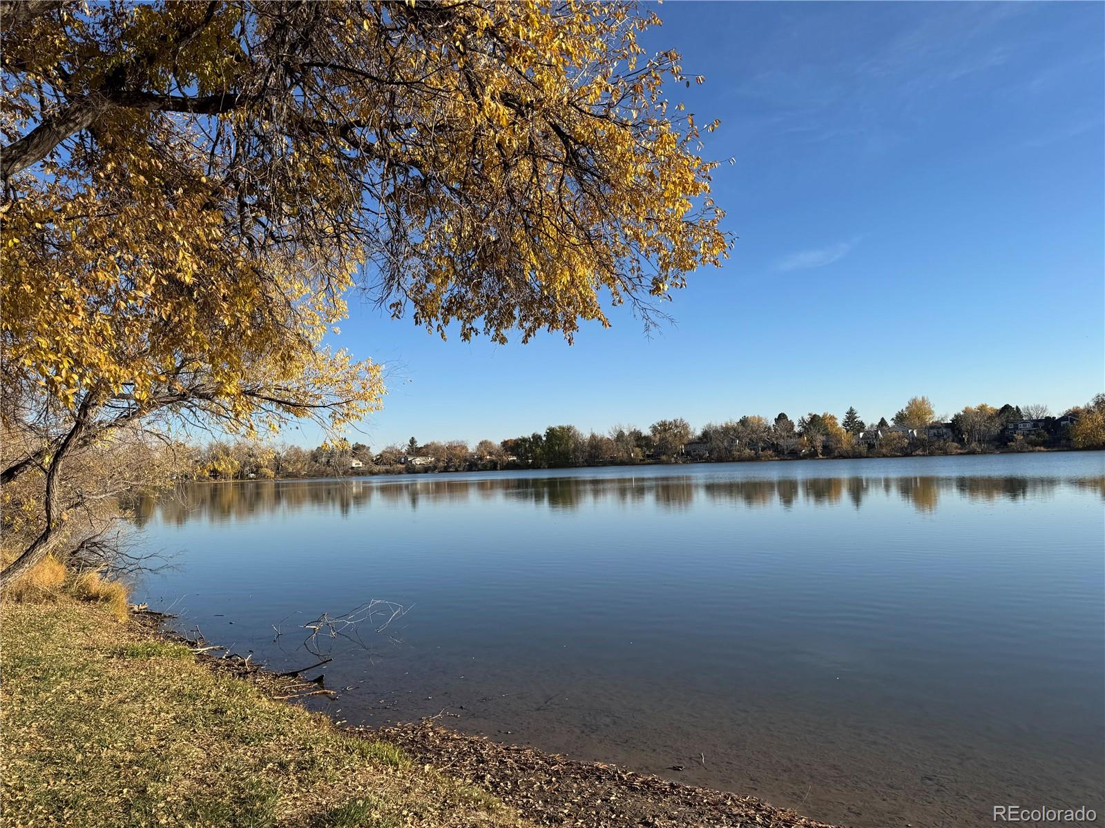 MLS Image #29 for 8672  iris street,arvada, Colorado