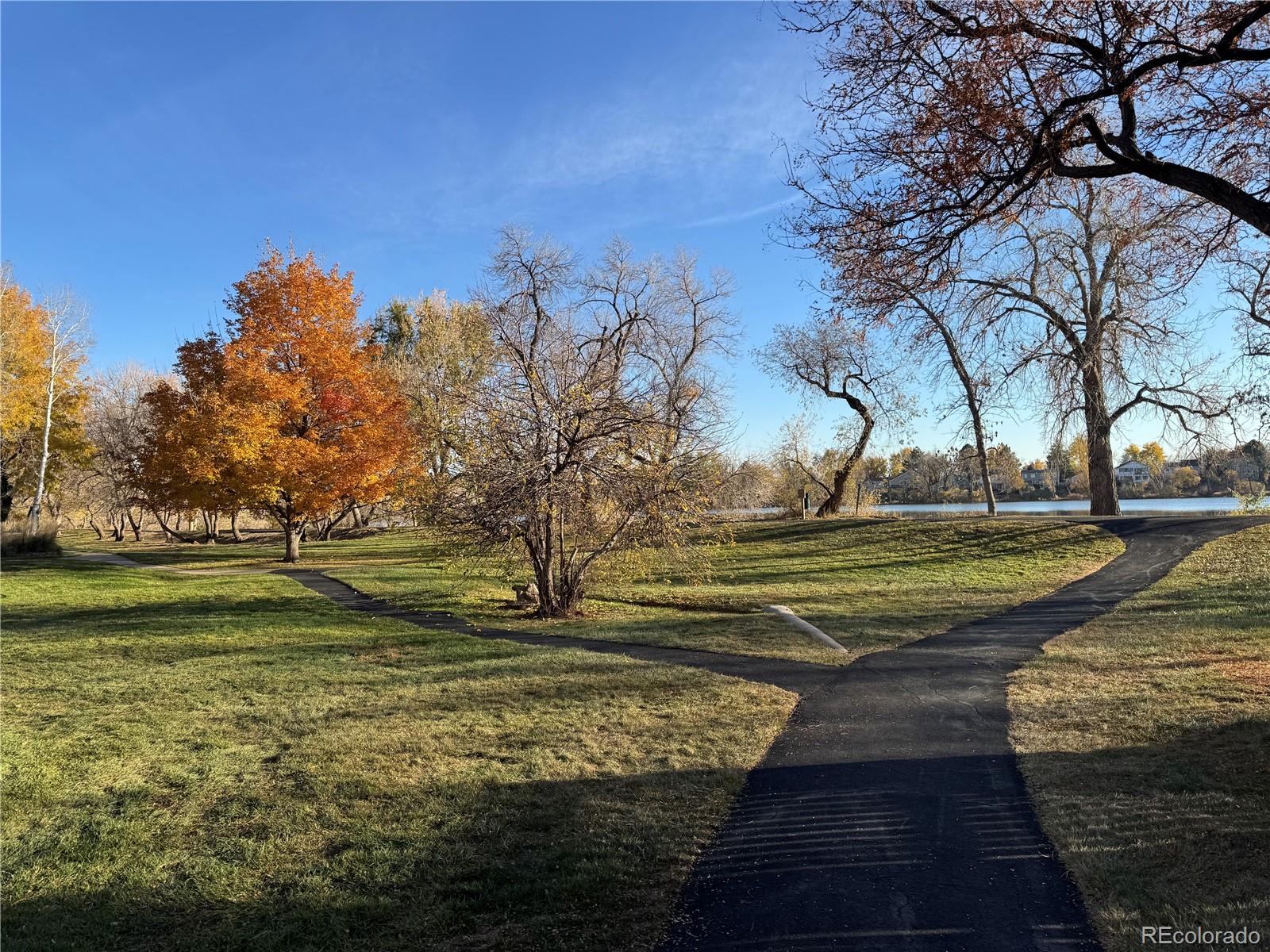 MLS Image #31 for 8672  iris street,arvada, Colorado