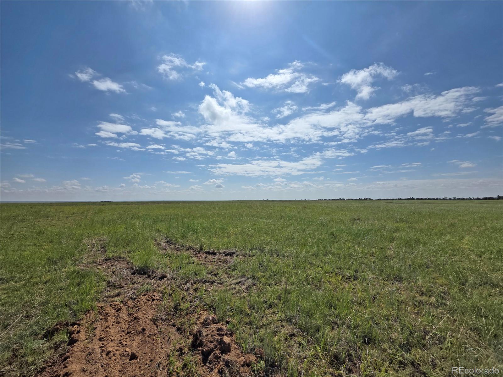 MLS Image #25 for 6815  ramah highway,yoder, Colorado