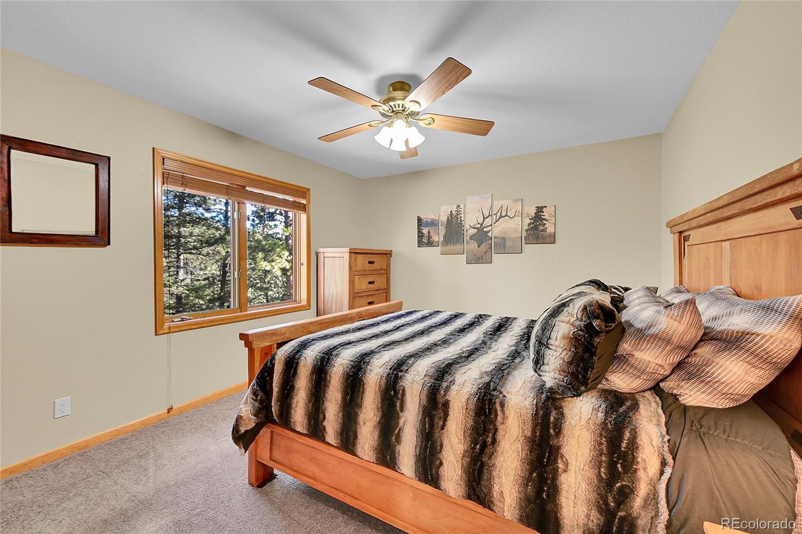 MLS Image #10 for 502  county road 1034 ,bailey, Colorado