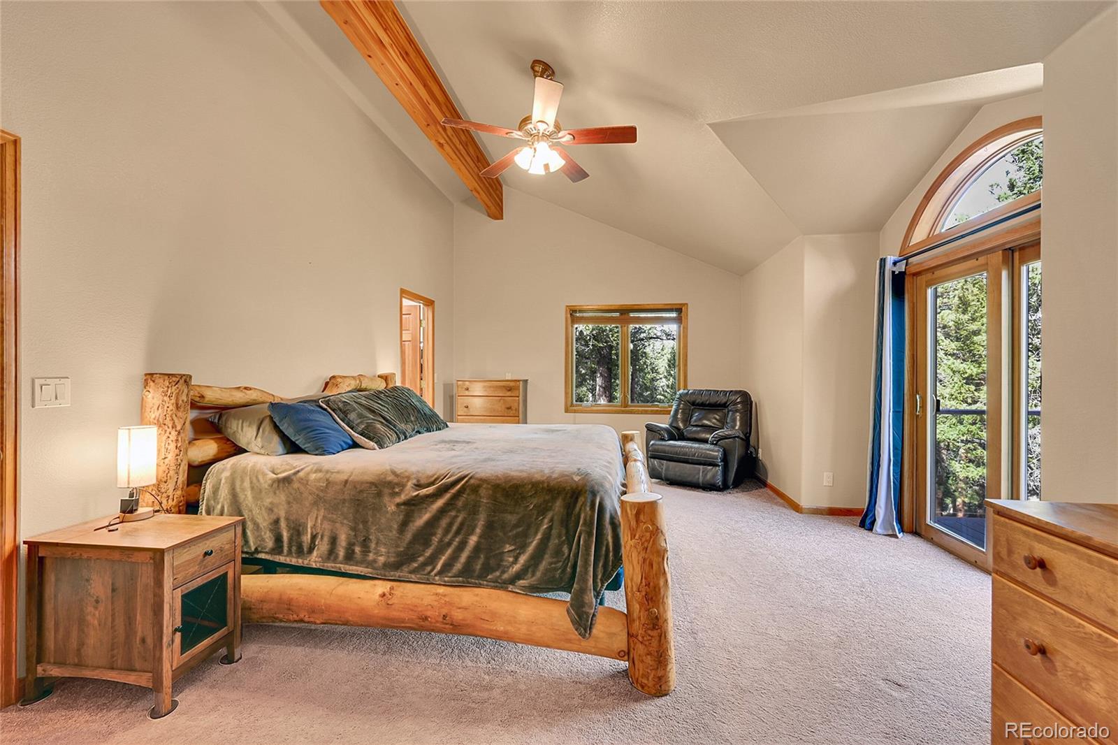 MLS Image #11 for 502  county road 1034 ,bailey, Colorado