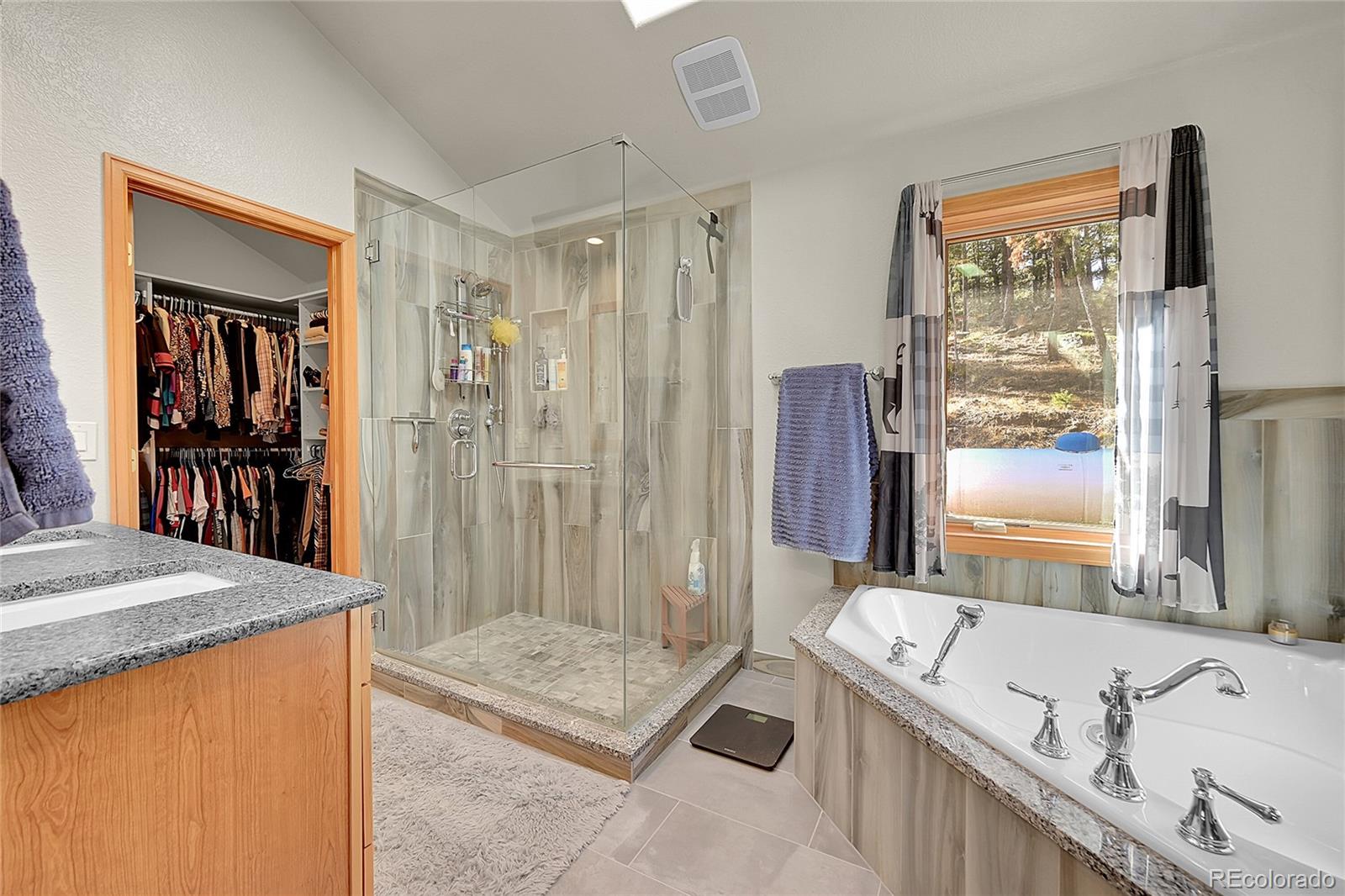 MLS Image #12 for 502  county road 1034 ,bailey, Colorado