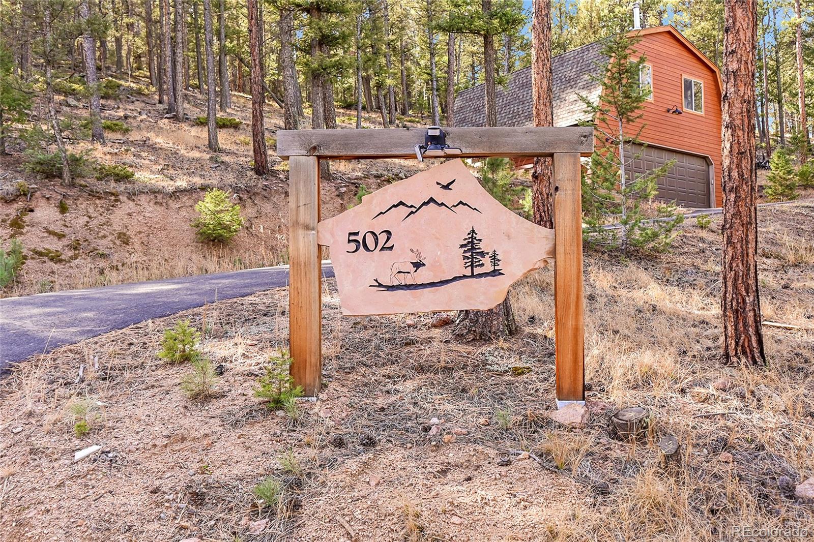 MLS Image #3 for 502  county road 1034 ,bailey, Colorado