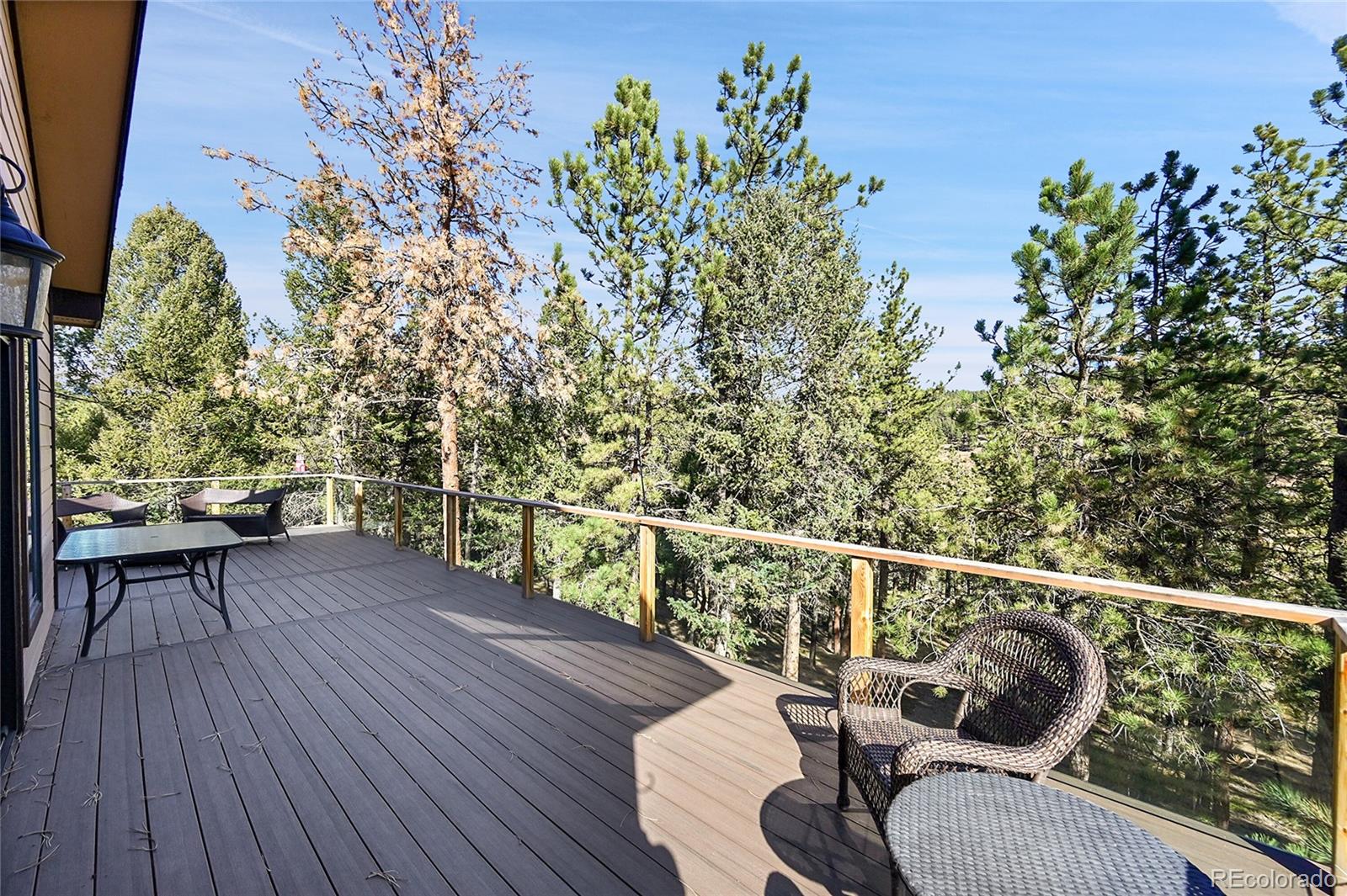 MLS Image #7 for 502  county road 1034 ,bailey, Colorado