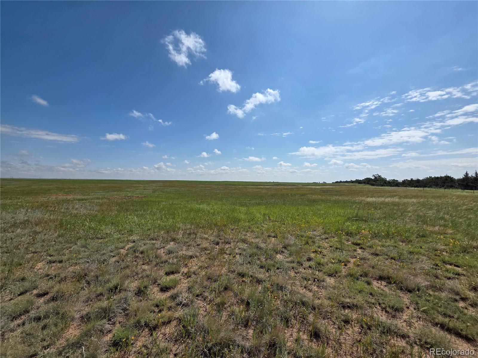 MLS Image #28 for 6555 n ramah ,yoder, Colorado