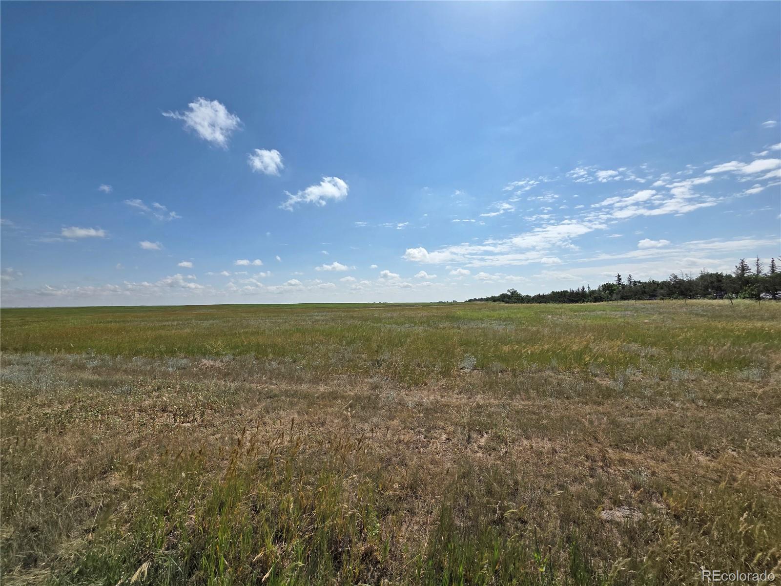 MLS Image #29 for 6555 n ramah ,yoder, Colorado