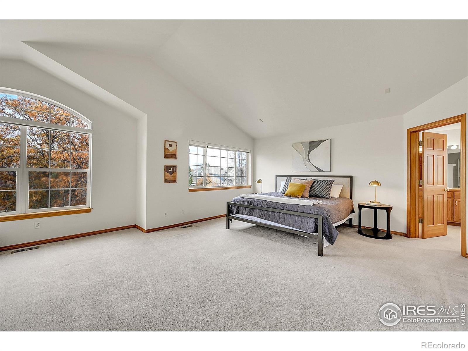 MLS Image #11 for 906  cranberry court,longmont, Colorado