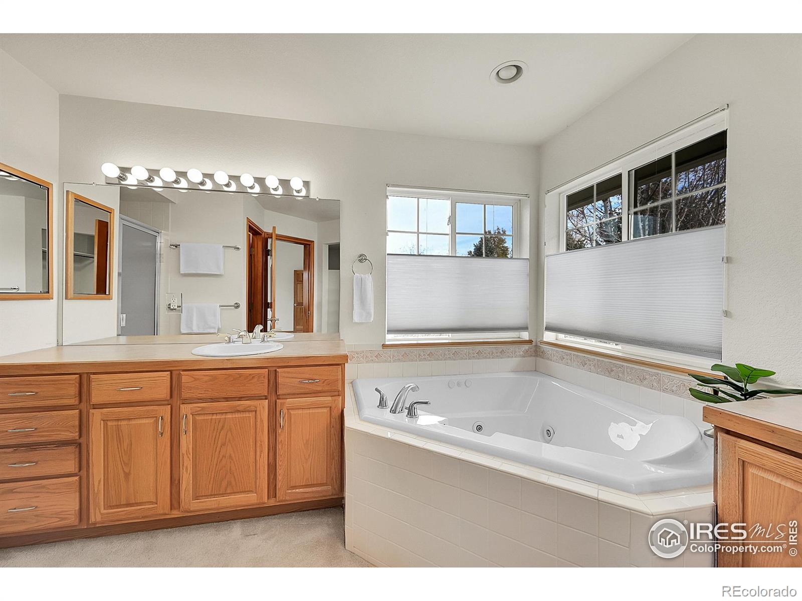 MLS Image #14 for 906  cranberry court,longmont, Colorado