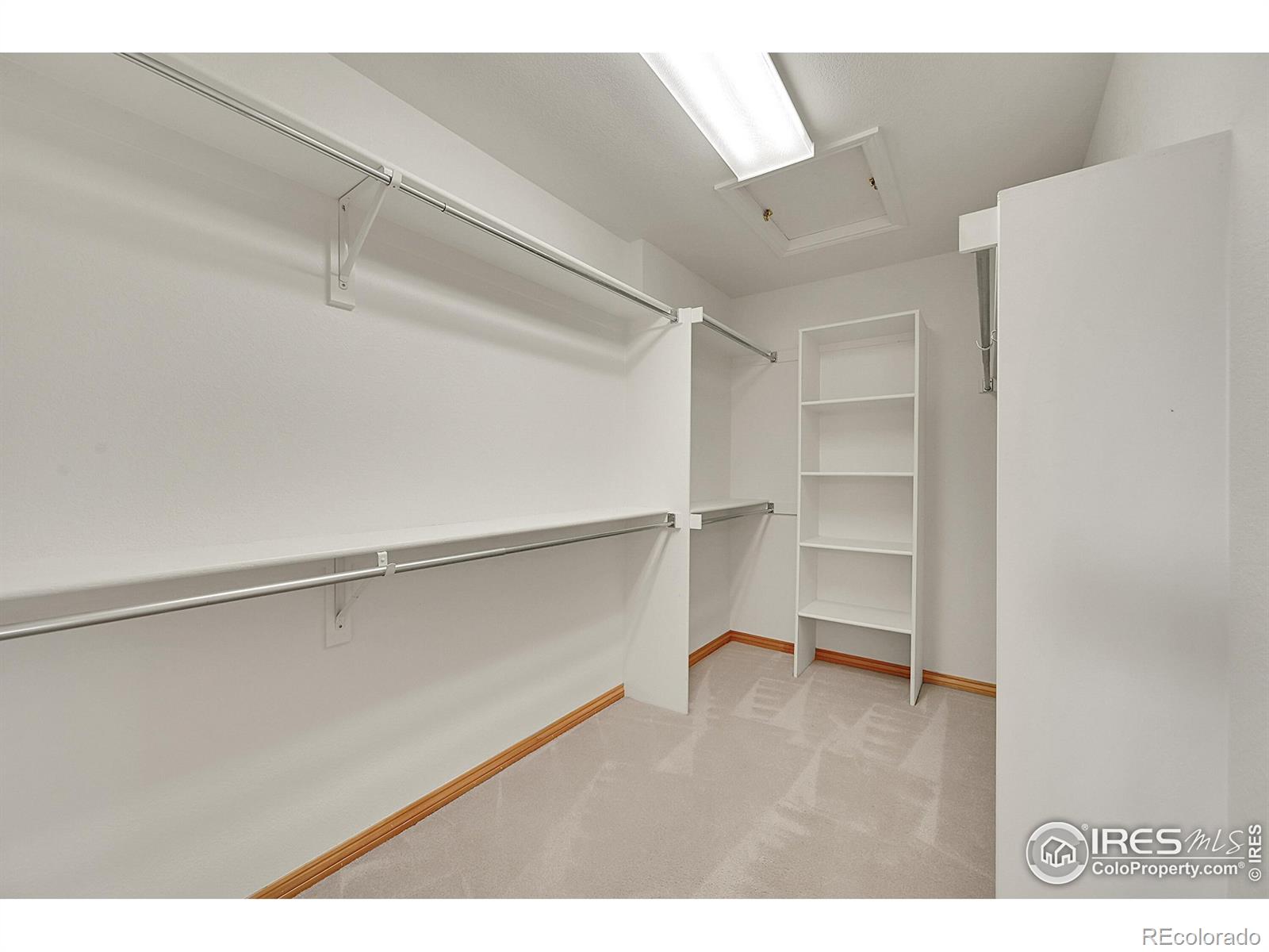 MLS Image #15 for 906  cranberry court,longmont, Colorado